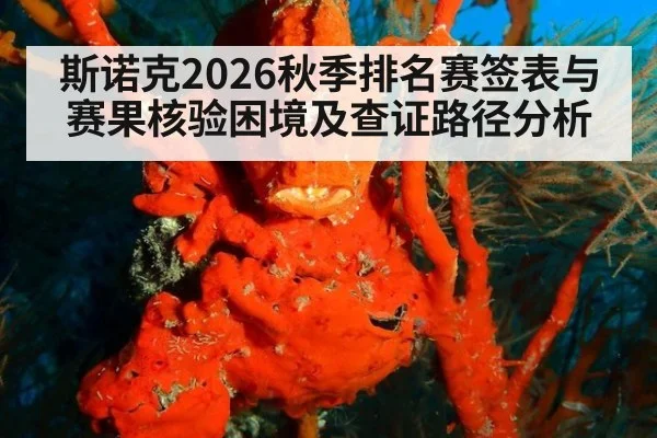 斯诺克2026秋季排名赛签表与赛果核验困境及查证路径分析